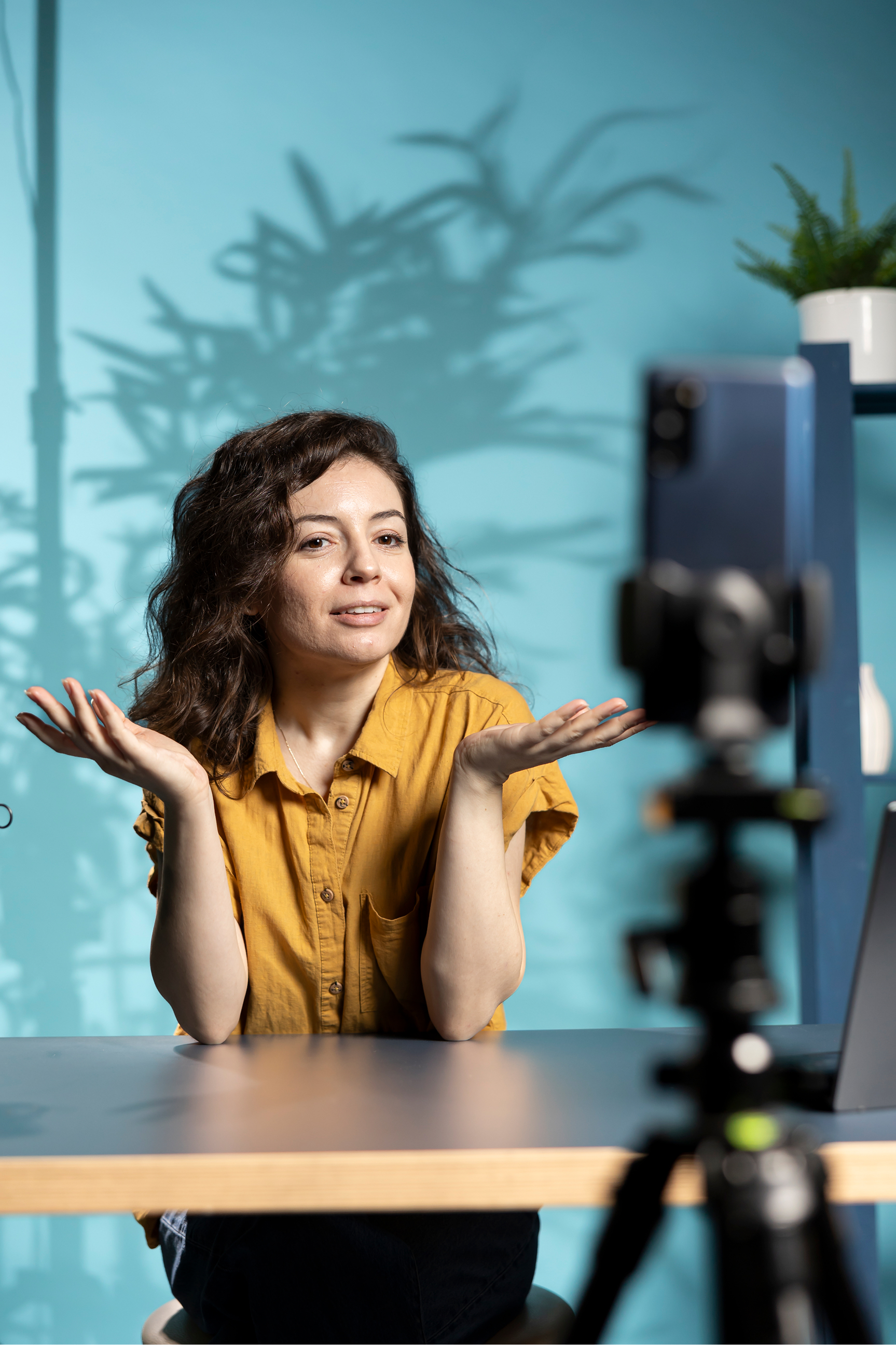 Explainer Videos